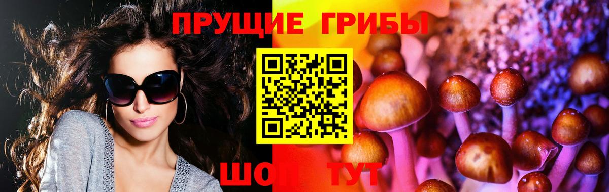 Галлюциногенные грибы мухоморы  Вход с VPN  Галлюциногенные грибы мухоморы  Миллерово 